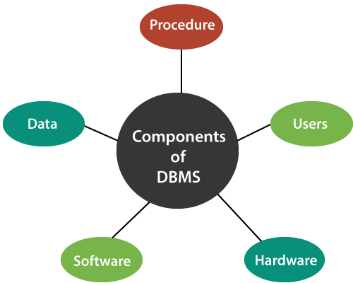 Components of DBMS - Tutorial And Example