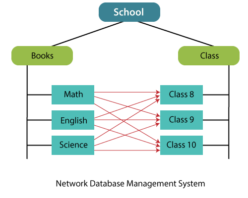 Network Database Management System