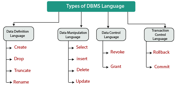 DBMS Languages