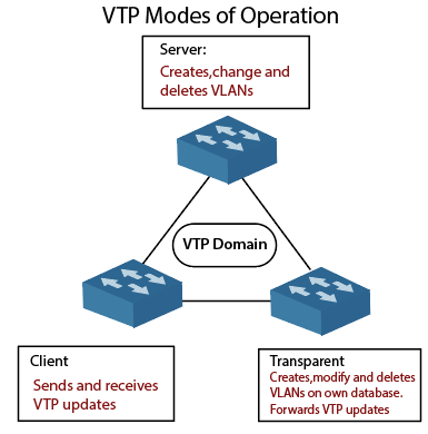 VLAN Basics 1