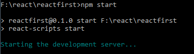write the command npm start