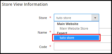 set up multiple websites stores and store views in Magento