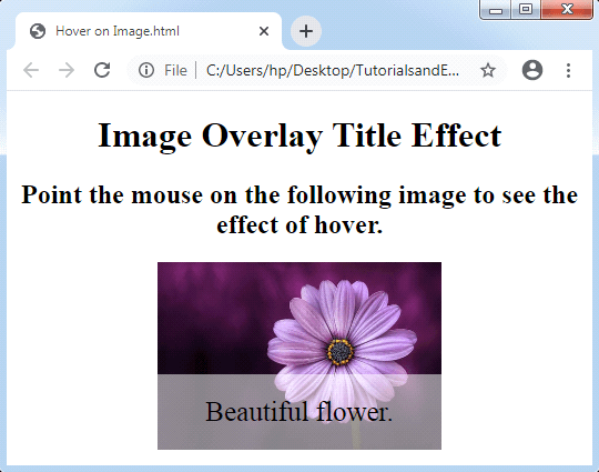 CSS Hover