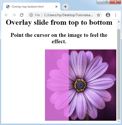 CSS Overlay - TAE