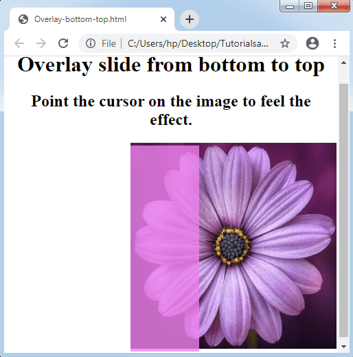 CSS Overlay