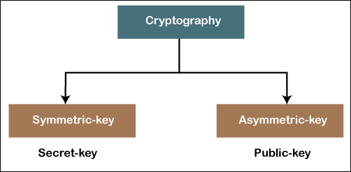 Cryptography in Computer Network