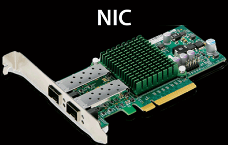 Basic Networking Devices
