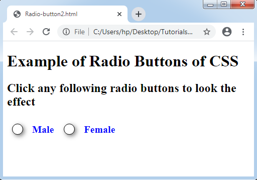 CSS Radio Button