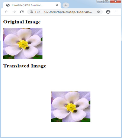 CSS translate() Function