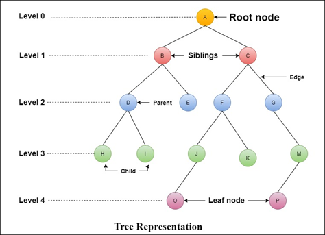 Tree in Data Structure