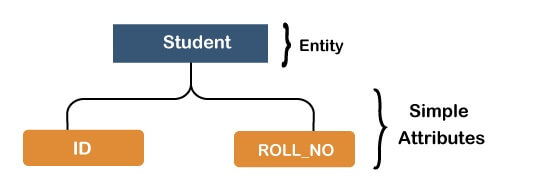 MySQL: Entity-Relationship Model