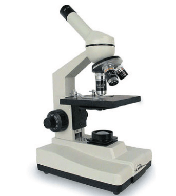 Who invented the microscope